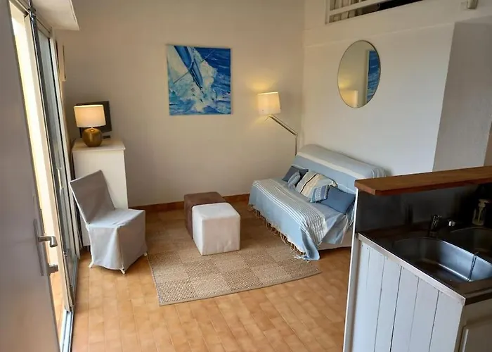 Daire Les Terrasses De La 268 , T2 Climatise, Vue Mer, Parking, Terrasse Agde